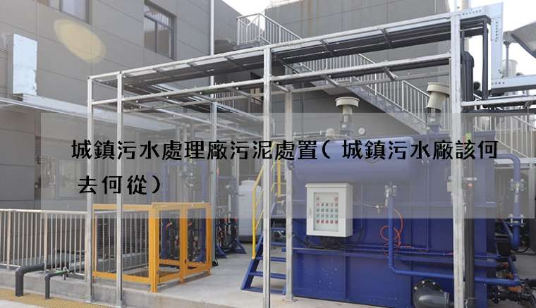 城鎮污水處理廠污泥處置(城鎮污水廠該何去何從)